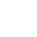 AI & Chatbot Services