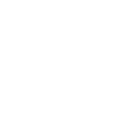 AI & Chatbot Services